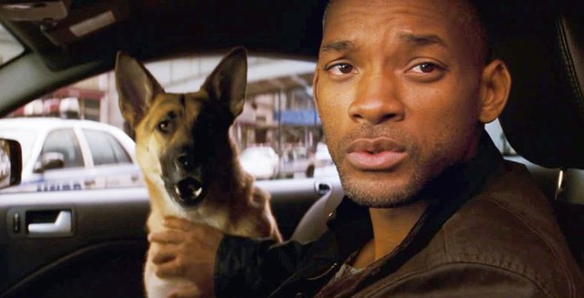 Chú chó trong I Am Legend được tìm thấy ở hầm trú ẩn